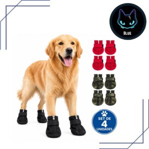 zapatito perro