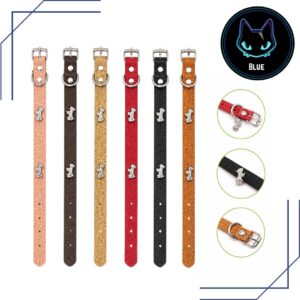 Collares para perro