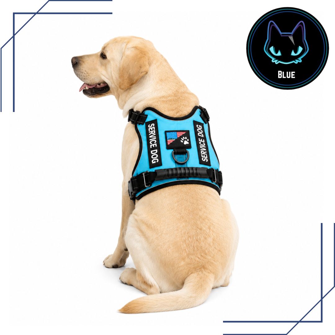 pechera para perro pechera para perro